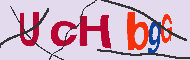 Captcha認証コード