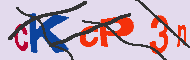Captcha認証コード