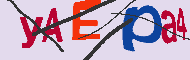 Captcha認証コード