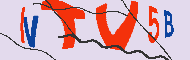 Captcha認証コード